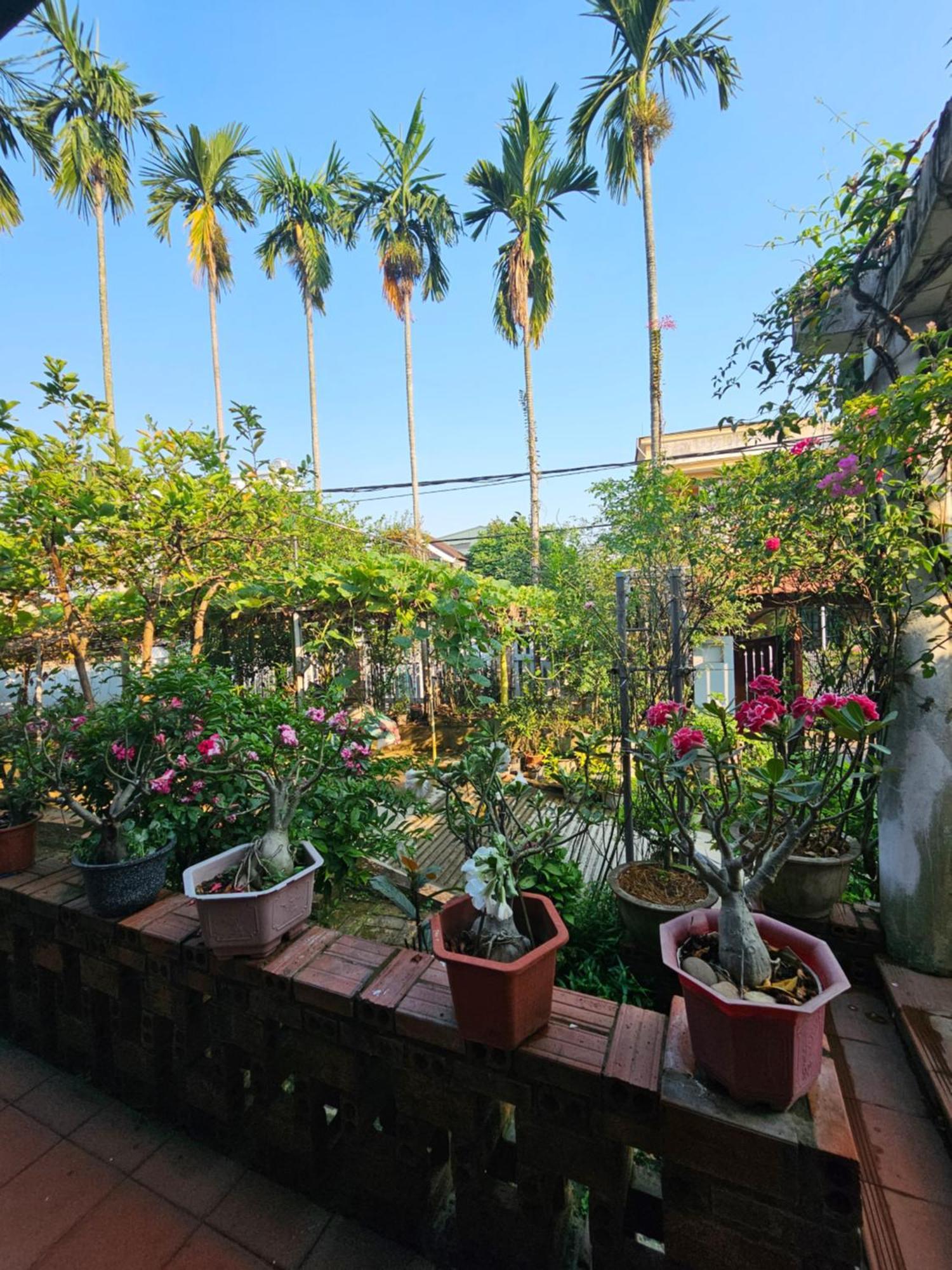 Rose Homestay Hue Thon Kim Long エクステリア 写真
